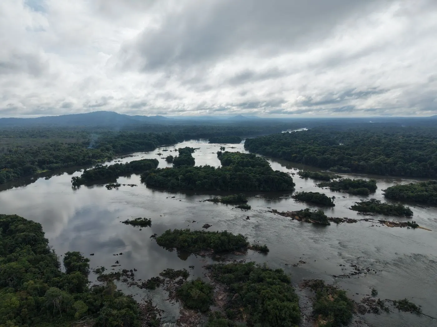 Aerial view of a river delta cutting through the Guyanese rainforest — the biodiversity GuyWay's electric fleet is designed to protect