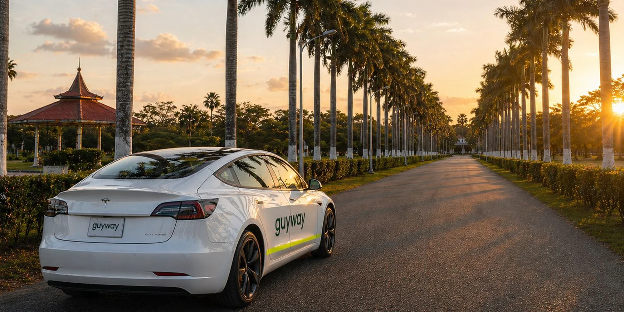 A GuyWay-branded electric Tesla on the iconic palm-tree-lined avenue at Georgetown's Botanical Gardens at sunset — Guyana's electric-first ride network exploring the country's natural heritage