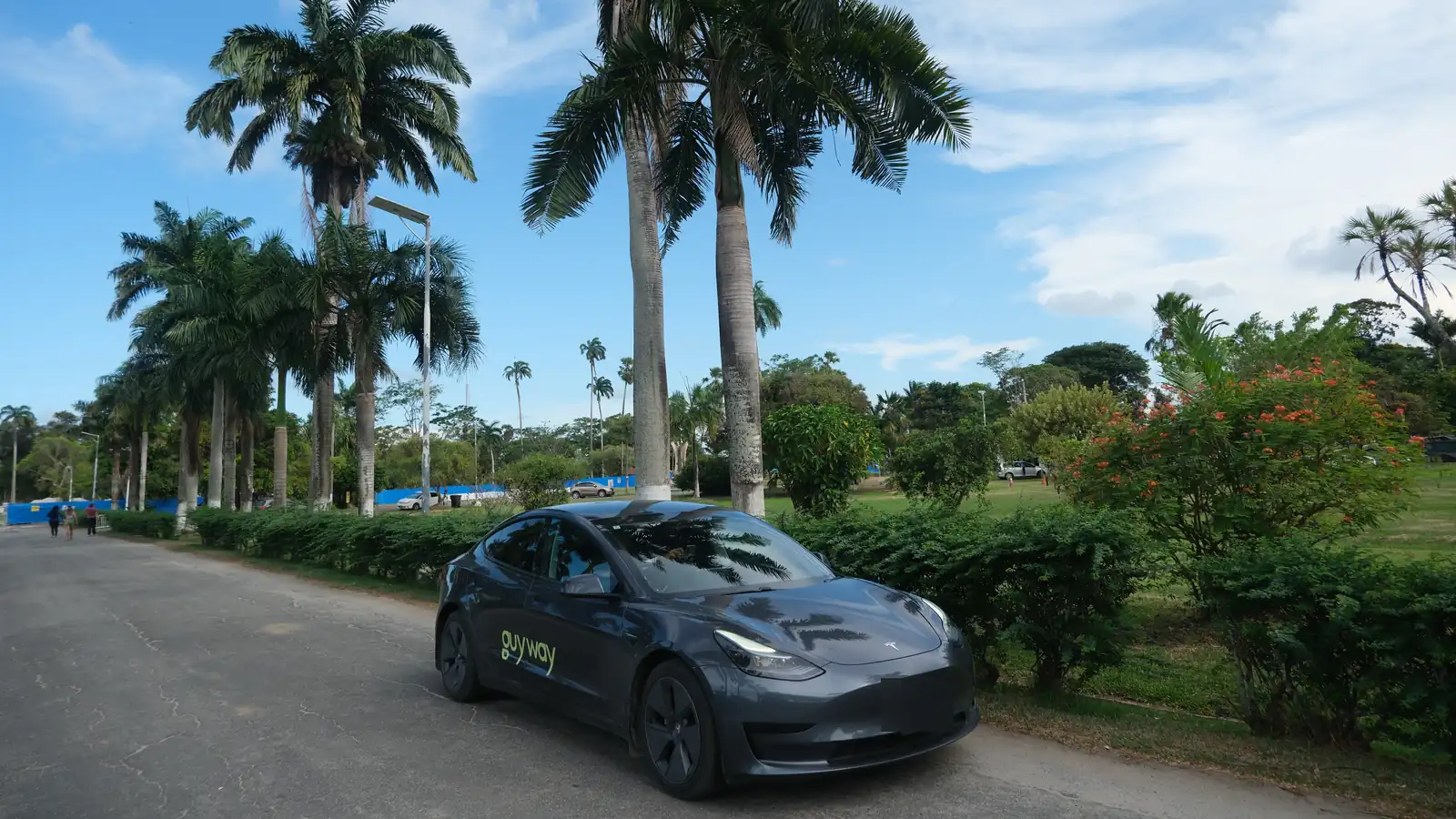 Tesla Model 3 van GuyWay onder koningspalmen in de Botanische Tuin van Georgetown