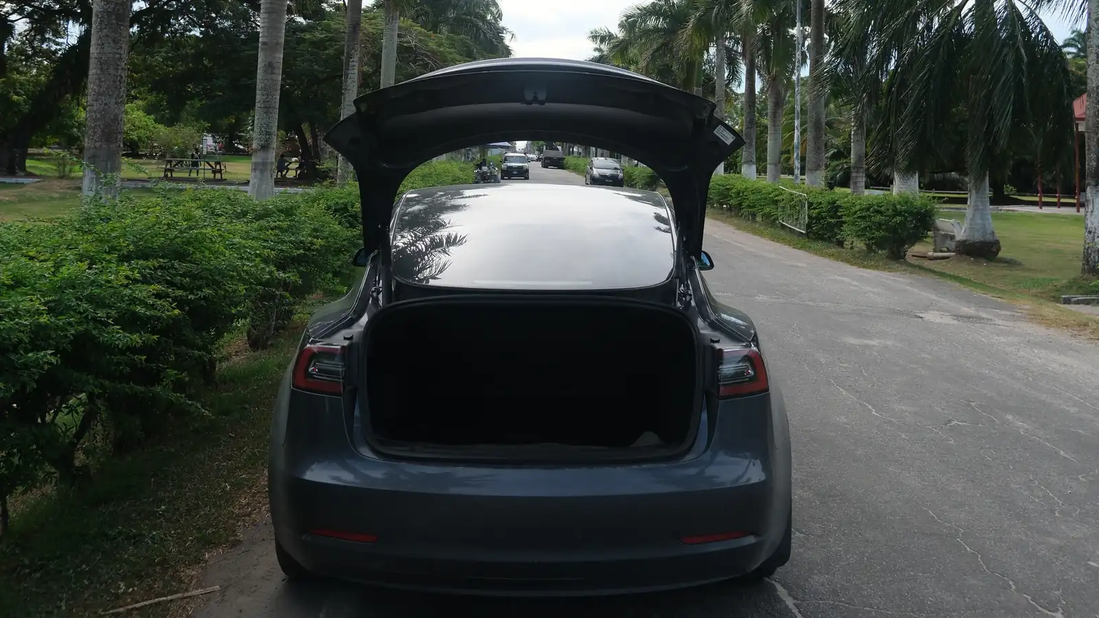 GuyWay Tesla Model 3 with the boot open on a palm-lined road, seen from behind