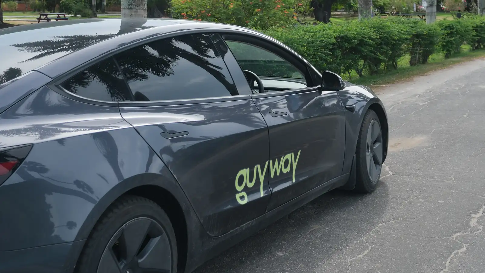 Vista lateral de un Tesla Model 3 gris oscuro de GuyWay en un camino de parque con palmeras