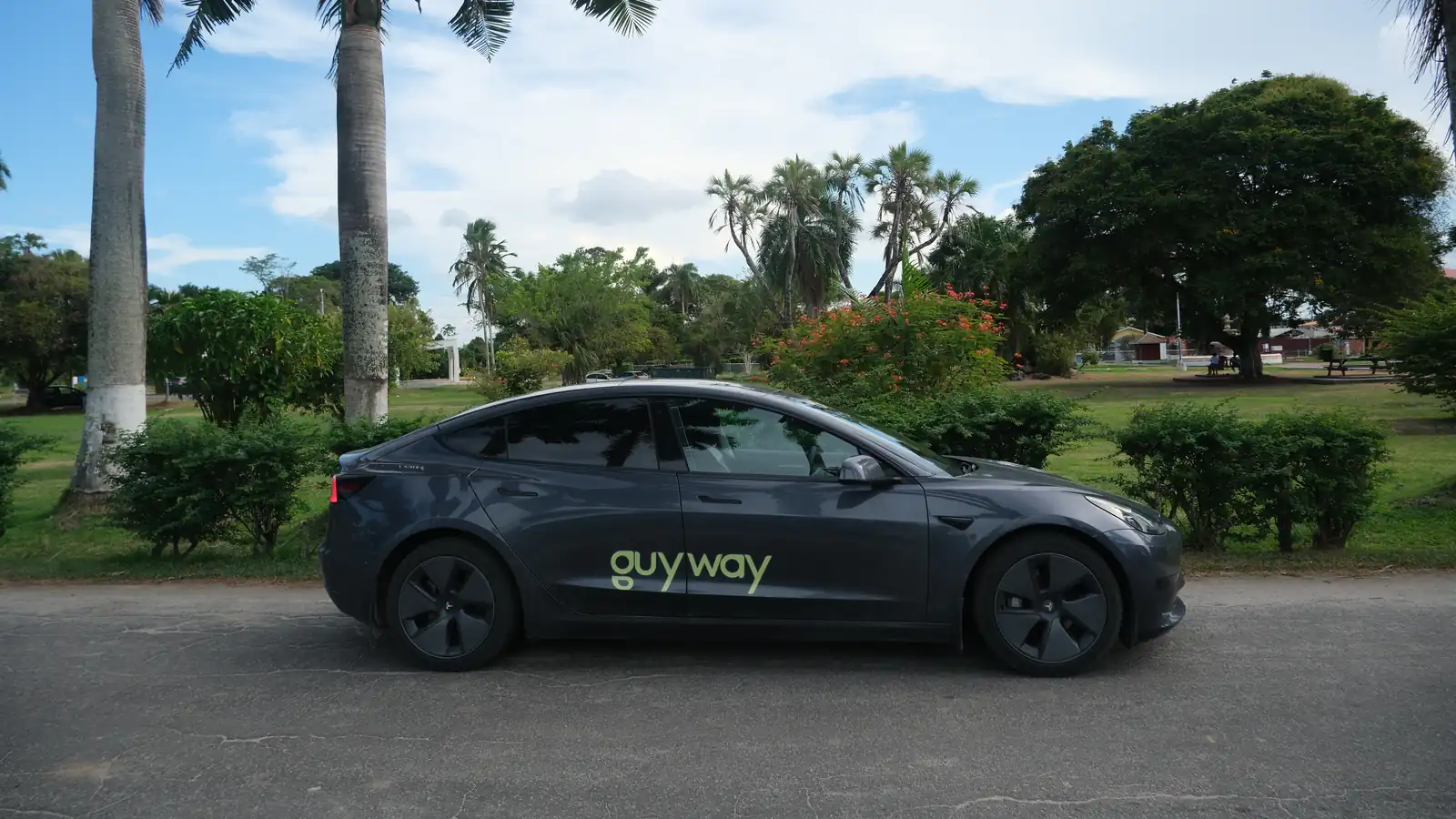 Dark grey GuyWay Tesla Model 3, side view, with palm trees and a large shade tree behind