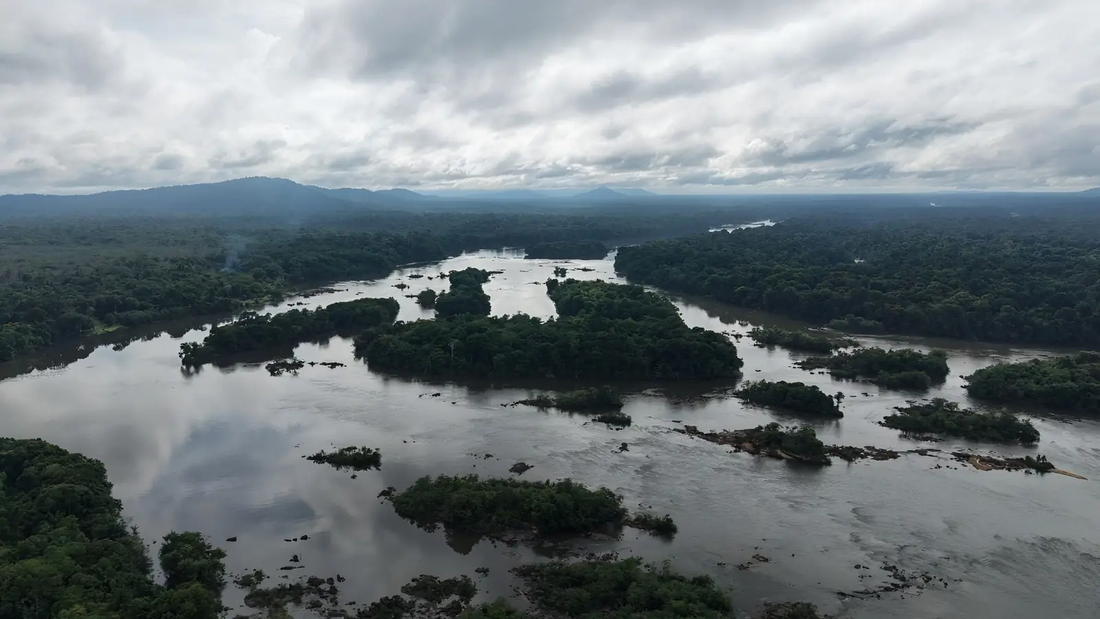 Vue aérienne d’une rivière traversant la forêt tropicale au Guyana