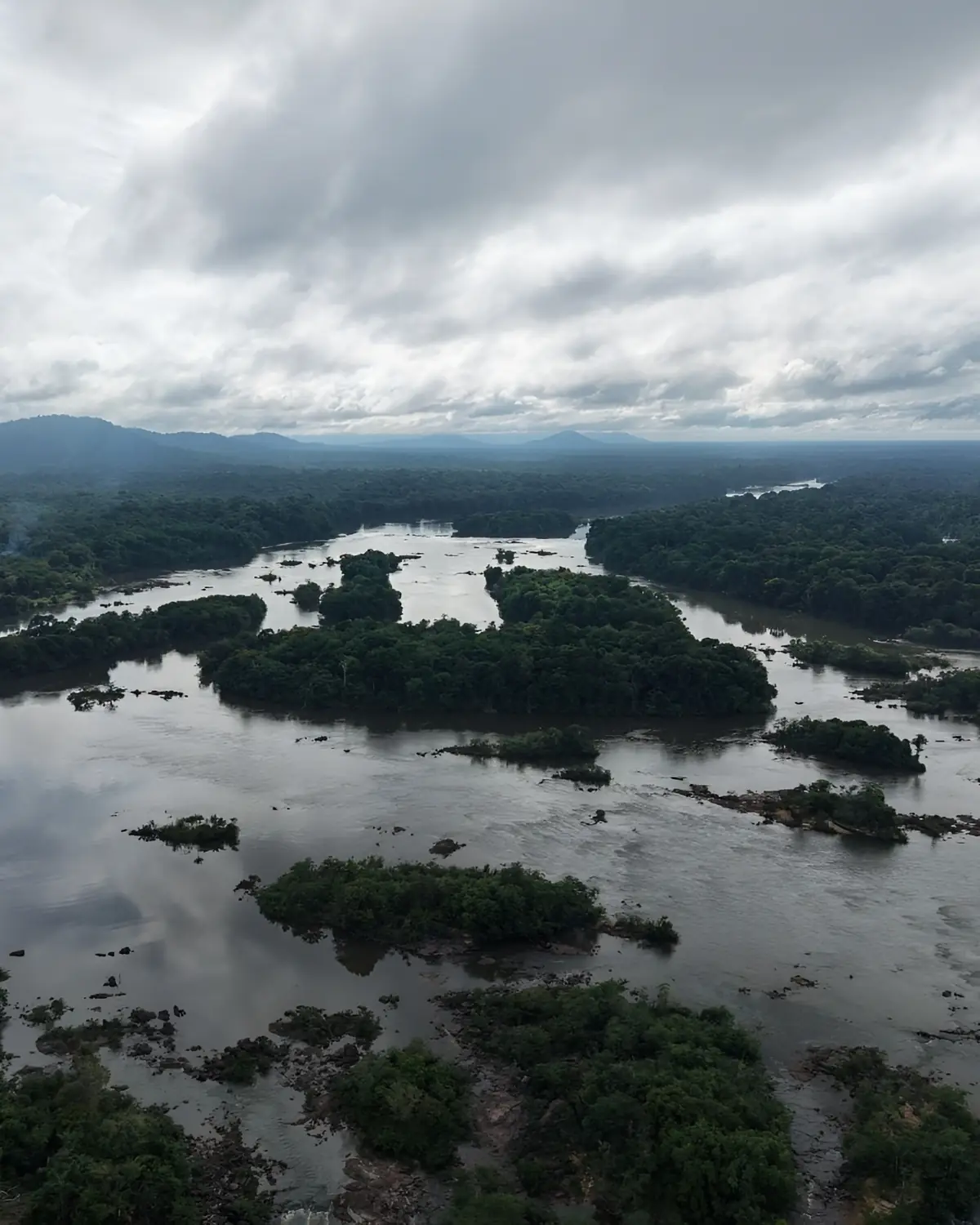 Luchtfoto van een rivier door het regenwoud in Guyana