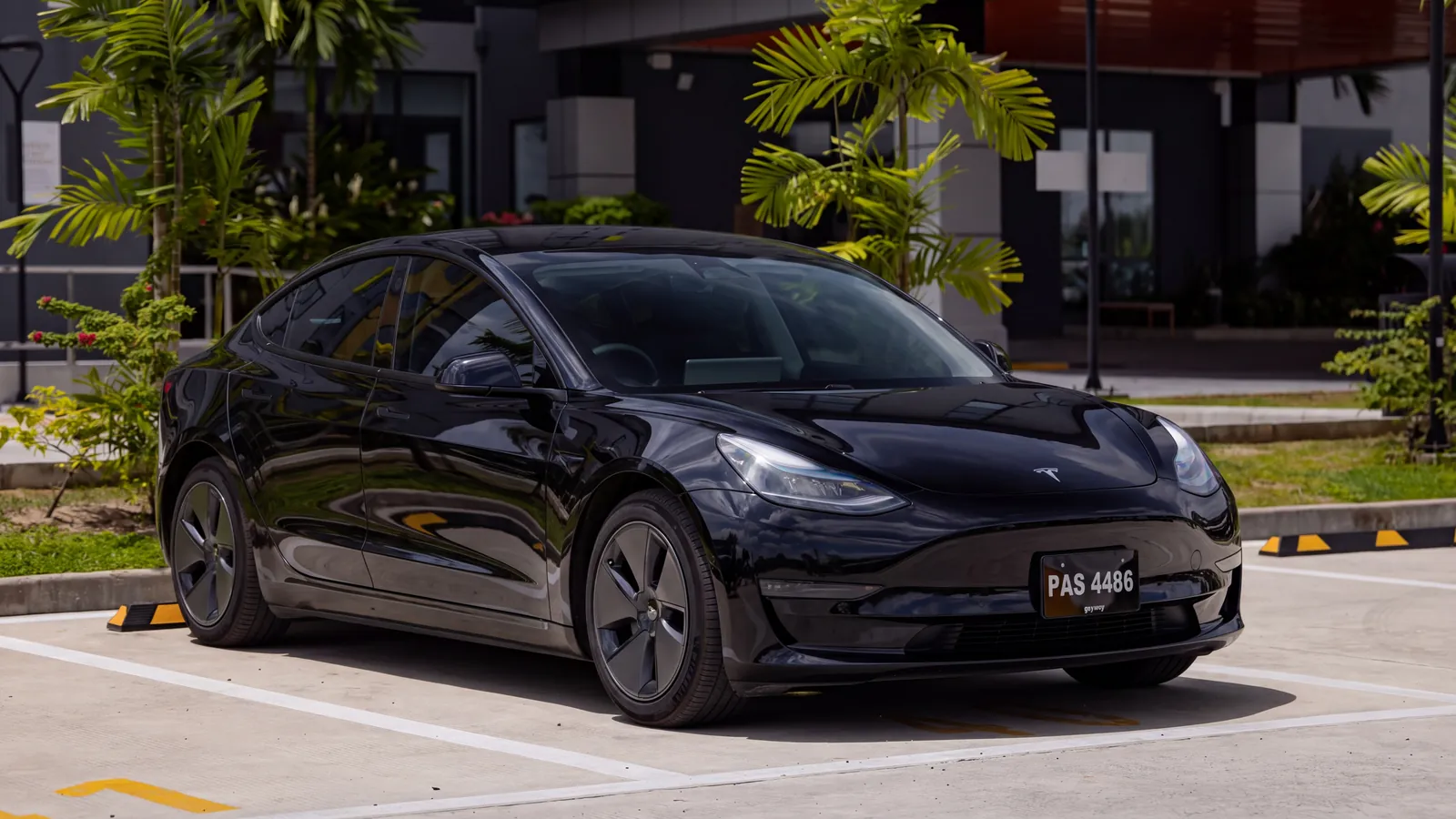 Black GuyWay Executive Tesla Model 3 with tinted windows and no GuyWay sign, parked by a hotel entrance with palms