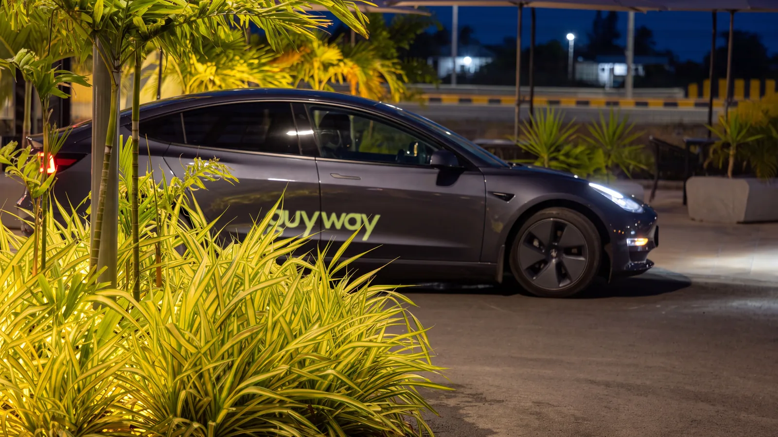 Grey GuyWay Tesla Model 3 at night behind lit tropical planting