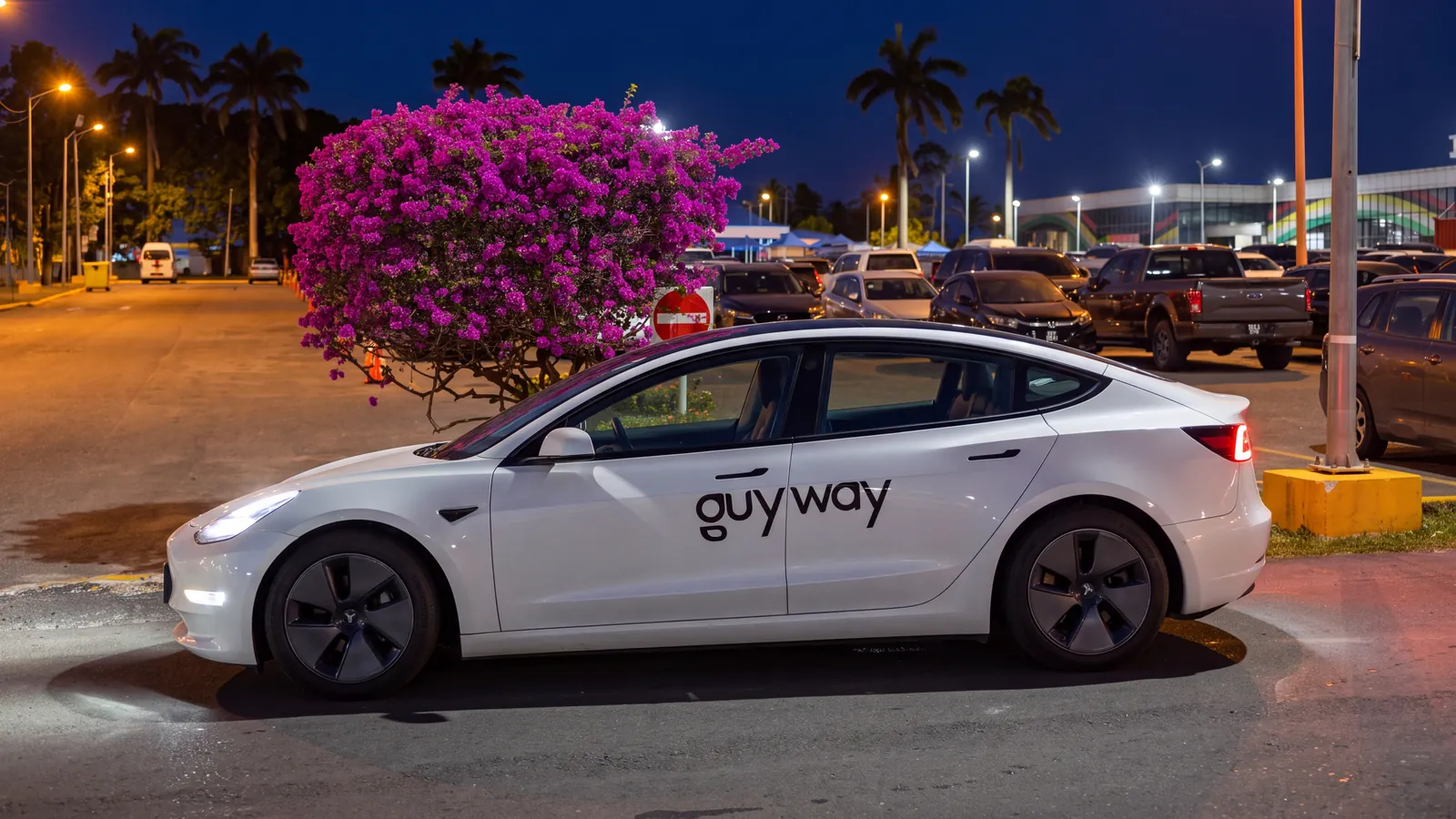 White GuyWay Tesla Model 3 at night in the CJIA car park, a bougainvillea in bloom behind